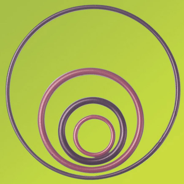 PTFE O-Ring